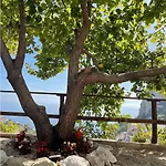 La Di Enzo Con Vista Mare * أمالفي